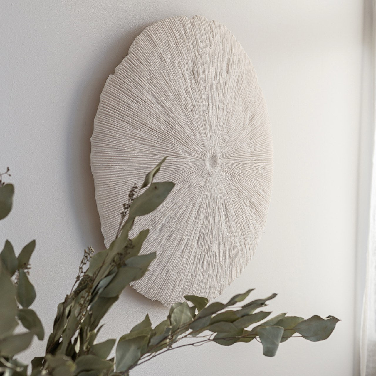 Sand Dollar - M