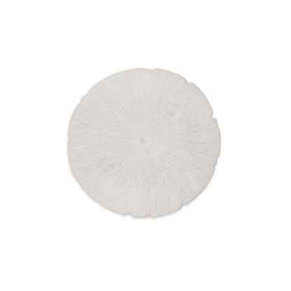 Sand Dollar - S