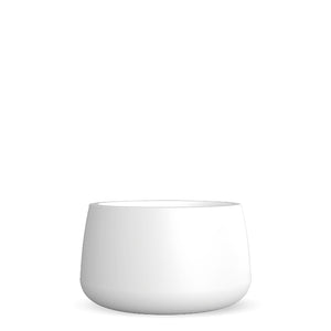 Camelia Premium Pots & Planters