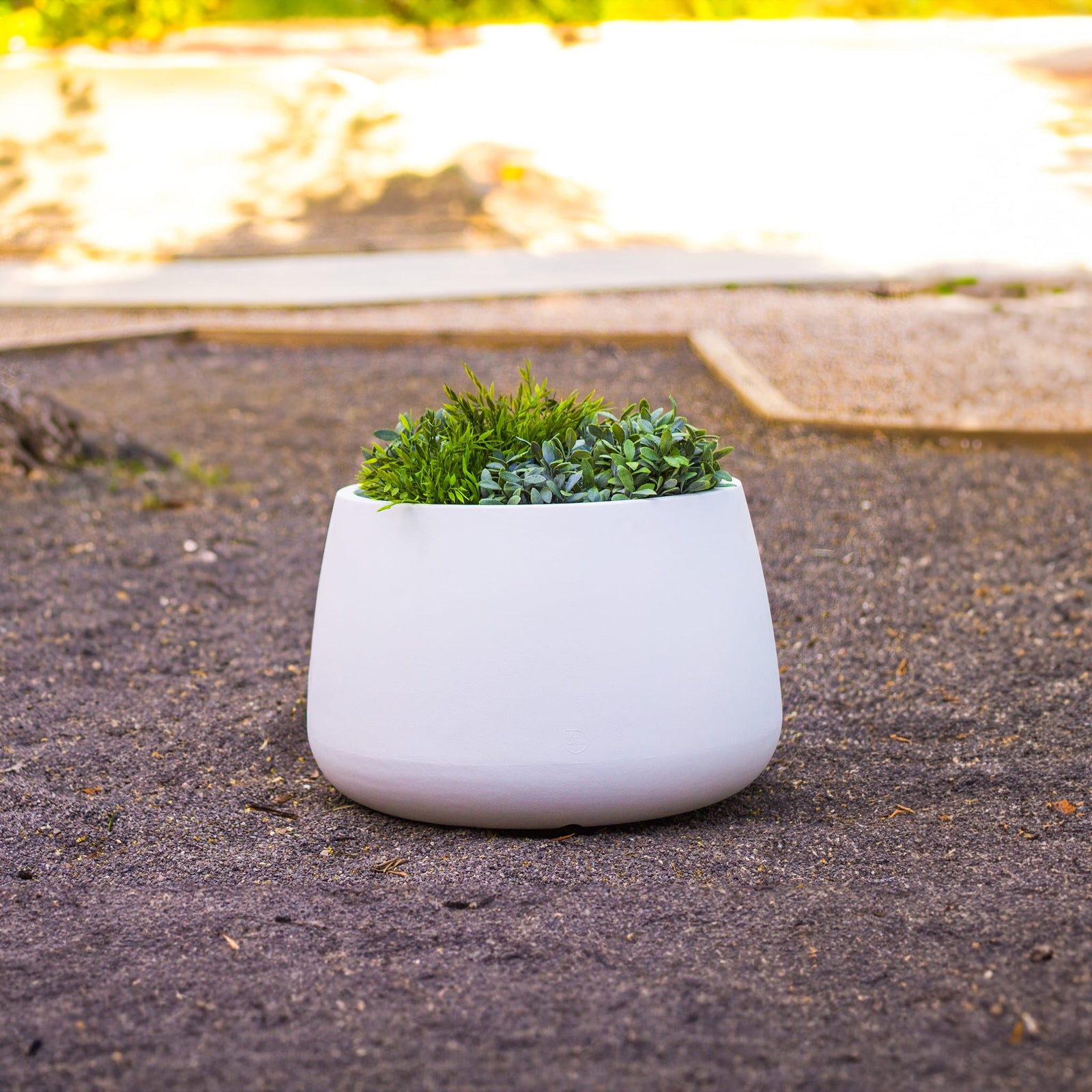 Camelia Premium Pots & Planters