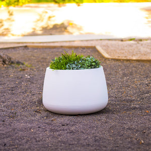 Camelia Premium Pots & Planters