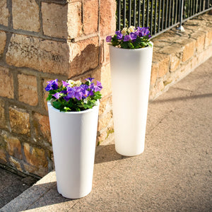 Ficus Premium Pots & Planters