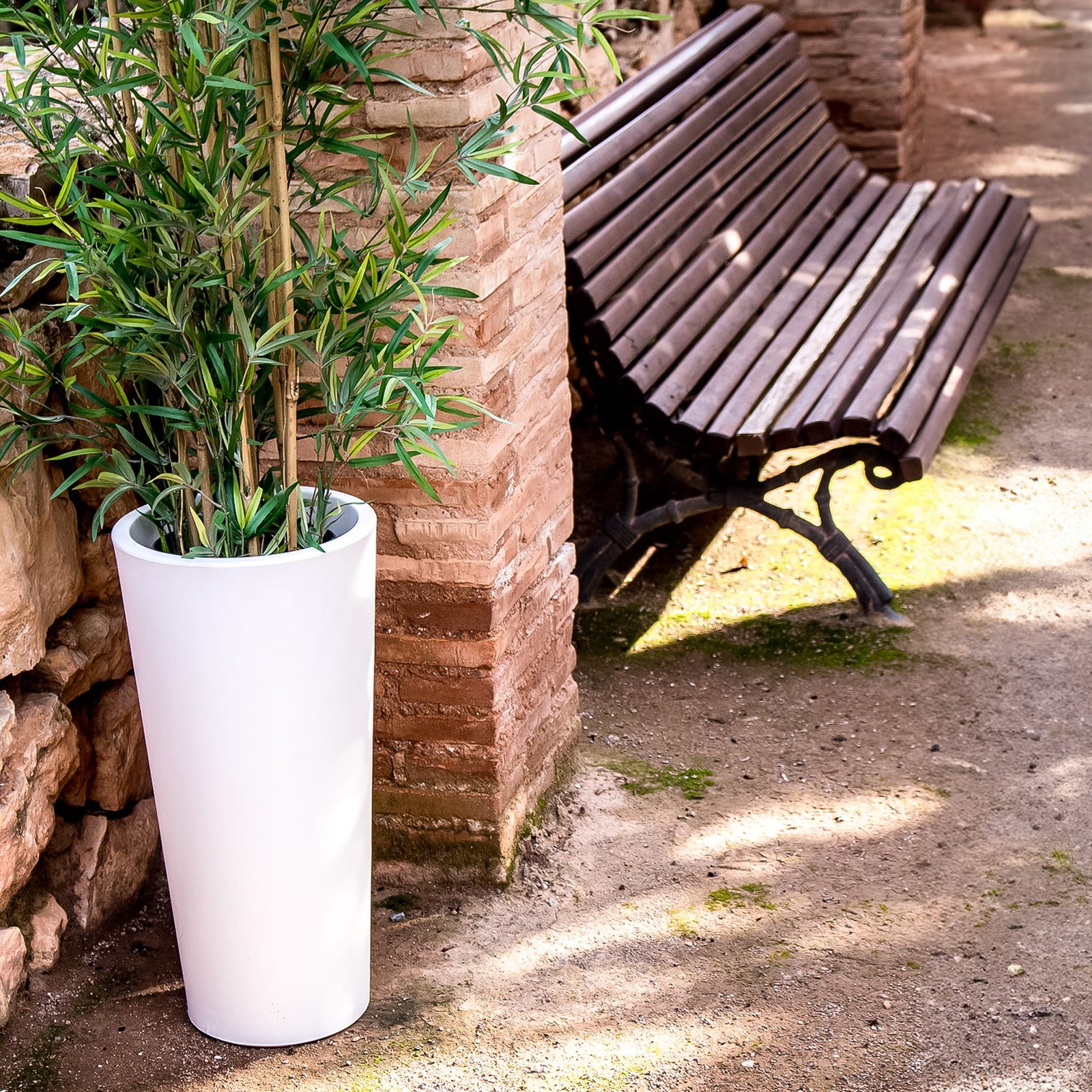 Ficus Premium Pots & Planters