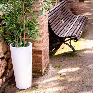 Ficus Premium Pots & Planters