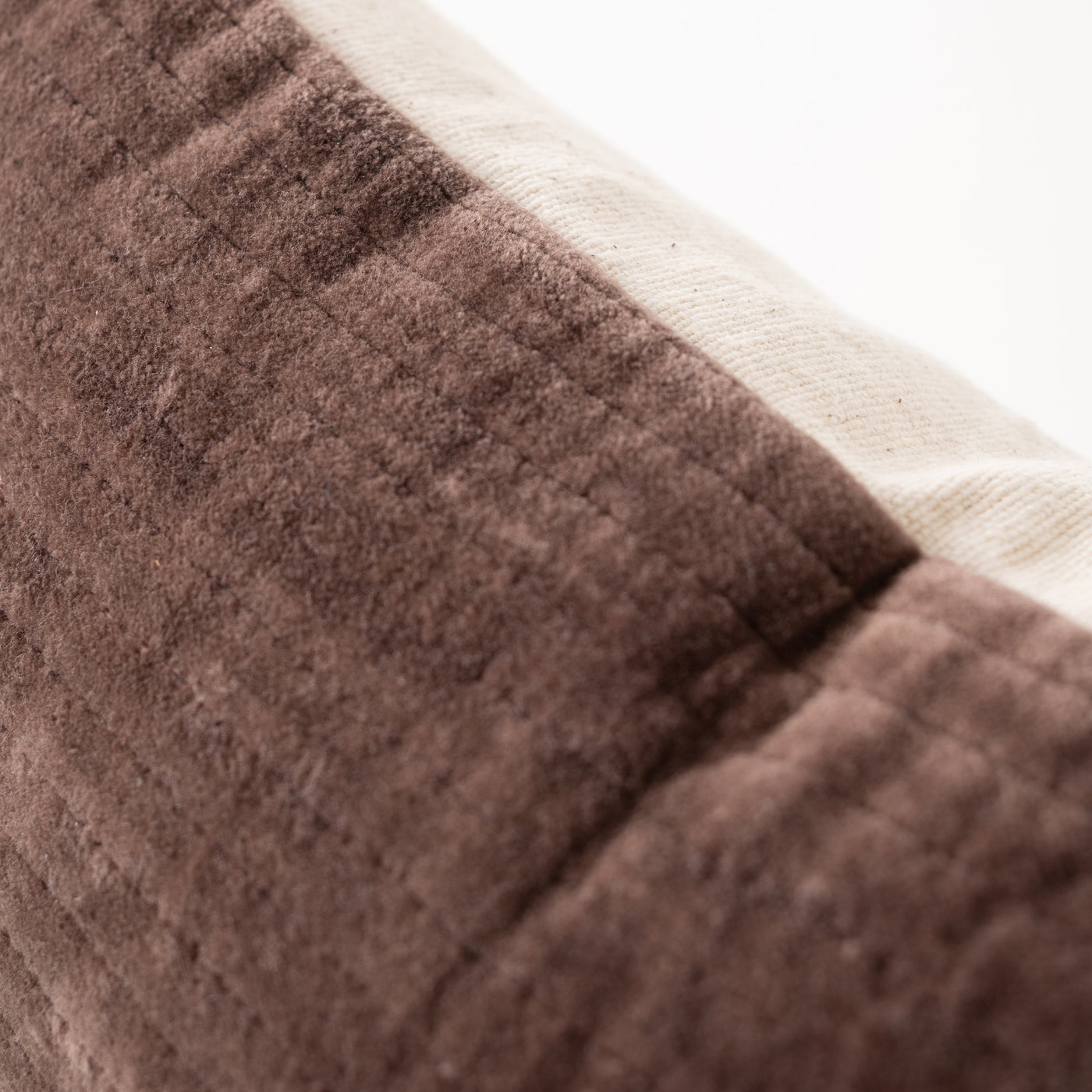 VELVET - RIBBED BROWN