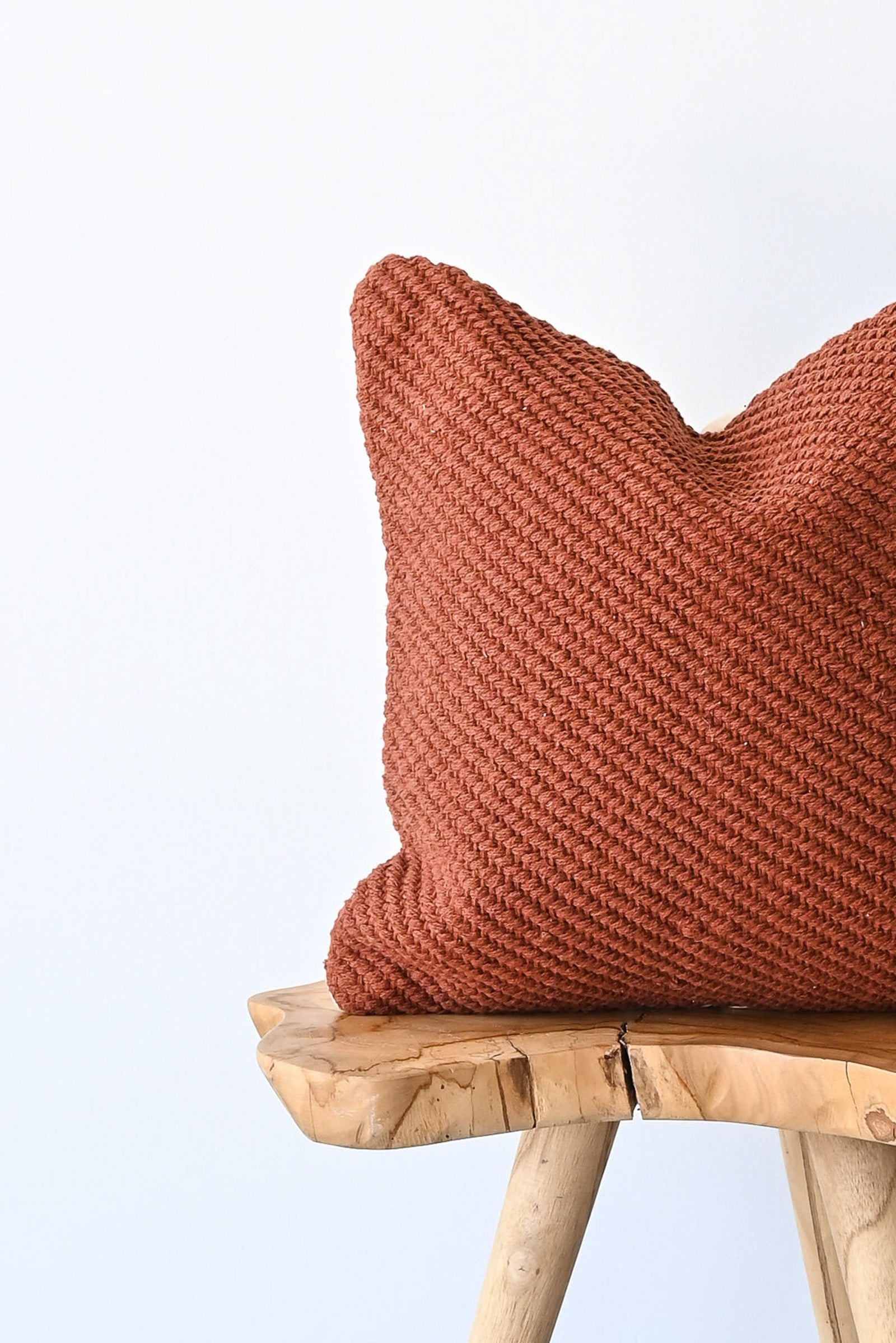 COTTON CANVAS - ALLEGRA RUST