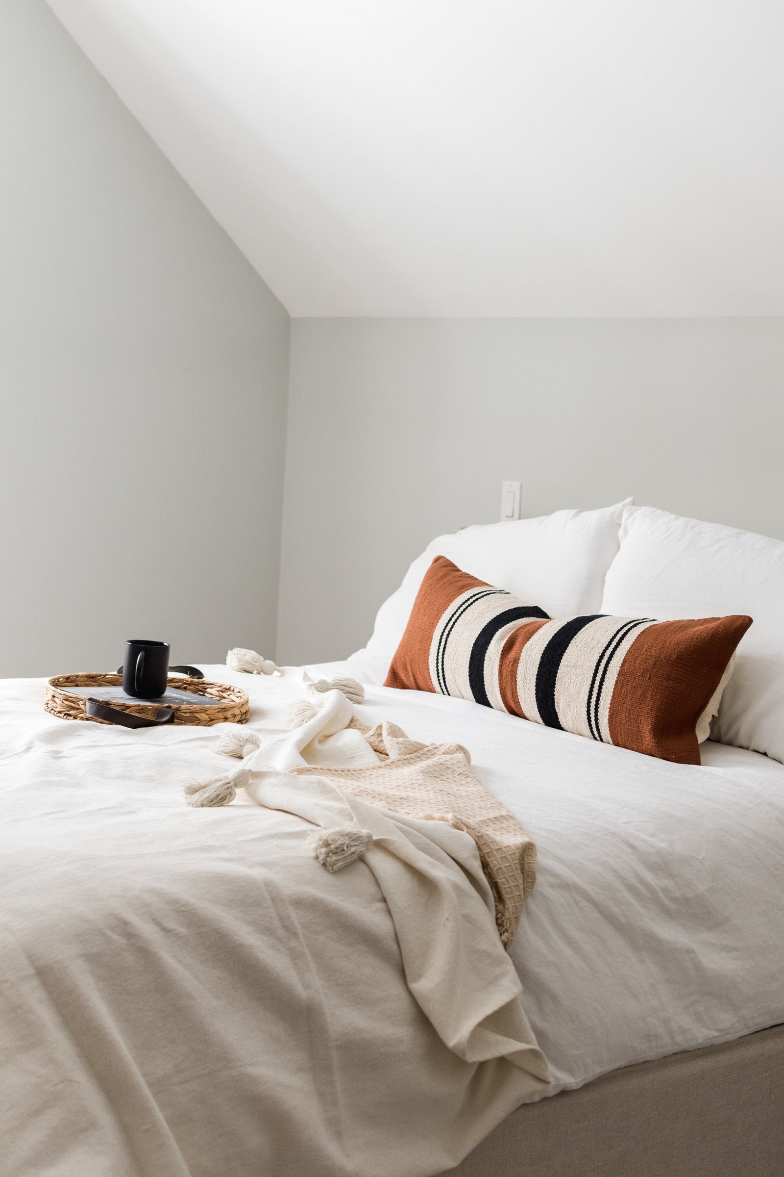 COTTON CANVAS - RUEBEN