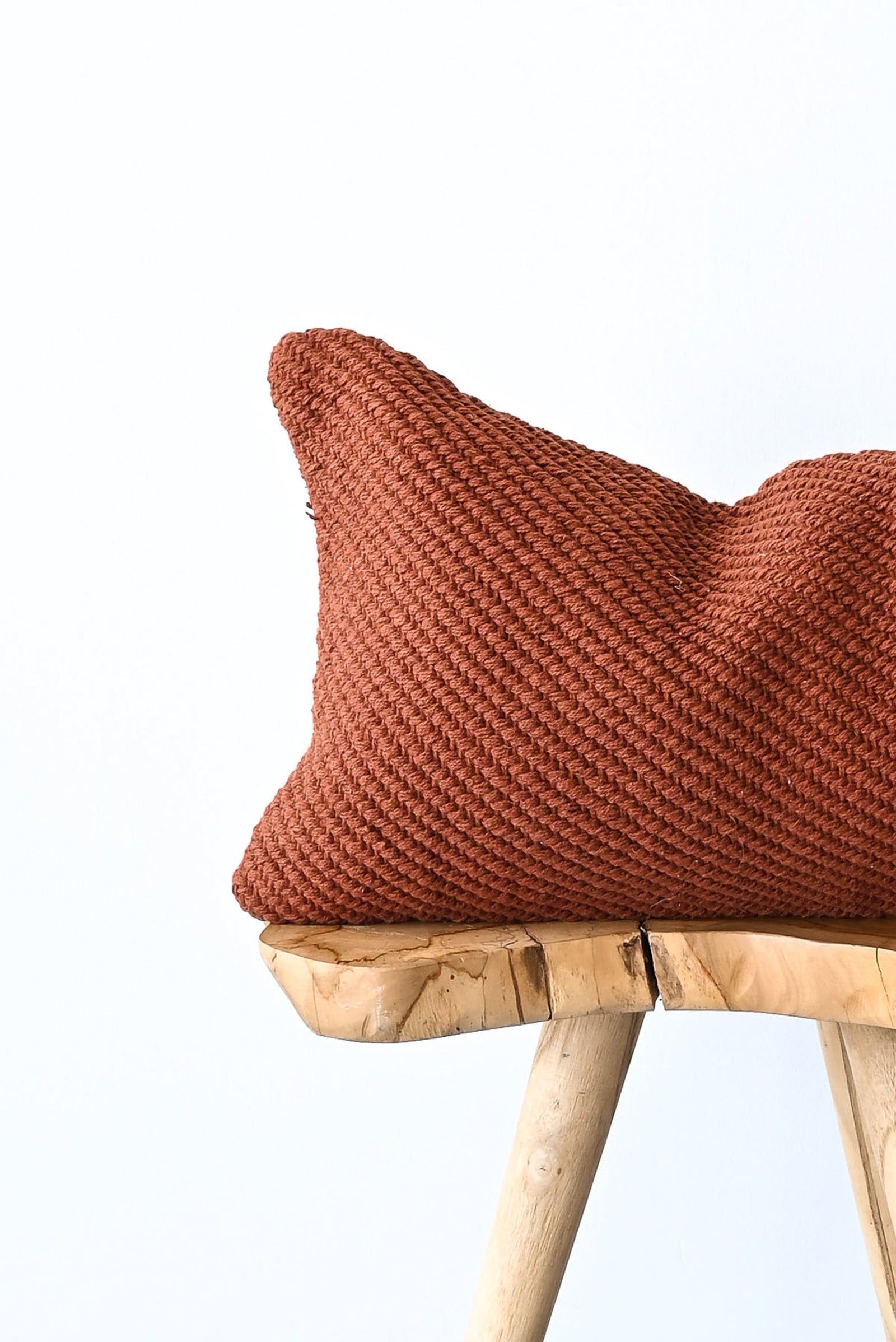 COTTON CANVAS - ALLEGRA RUST