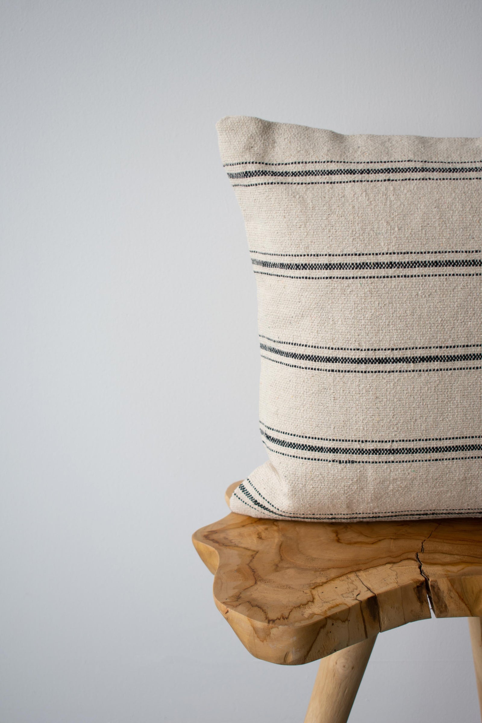 COTTON CANVAS - NEO