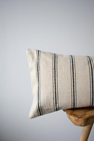 COTTON CANVAS - NEO