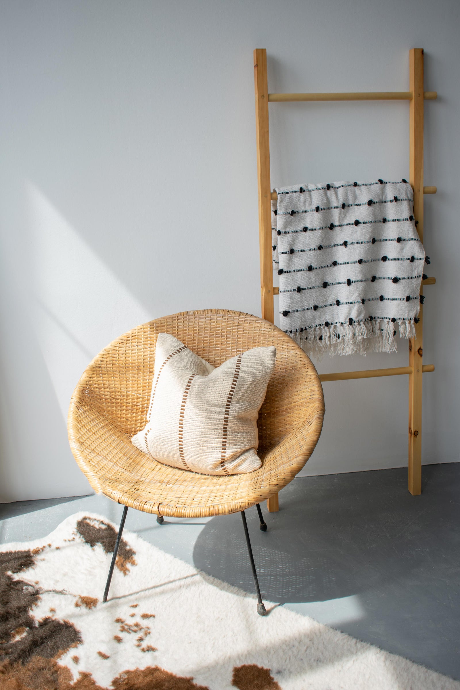 COTTON CANVAS - CONSTANCE