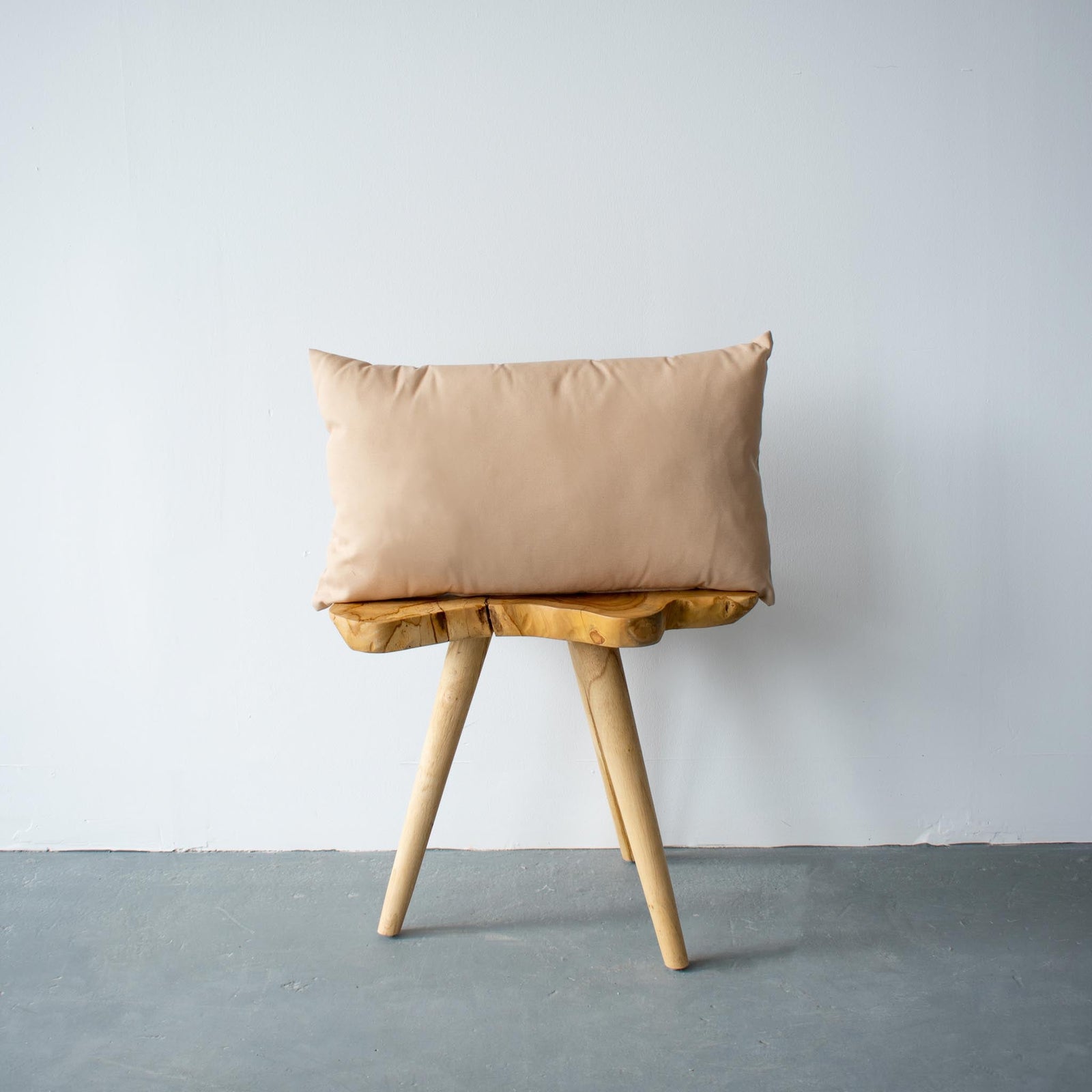 OUTDOOR PILLOW - BEIGE LUMBAR