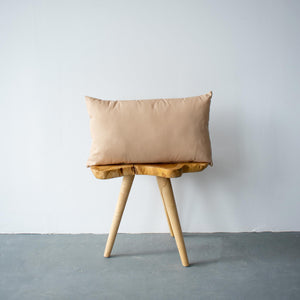 OUTDOOR PILLOW - BEIGE LUMBAR