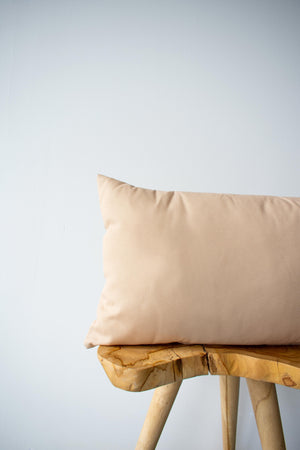 OUTDOOR PILLOW - BEIGE LUMBAR