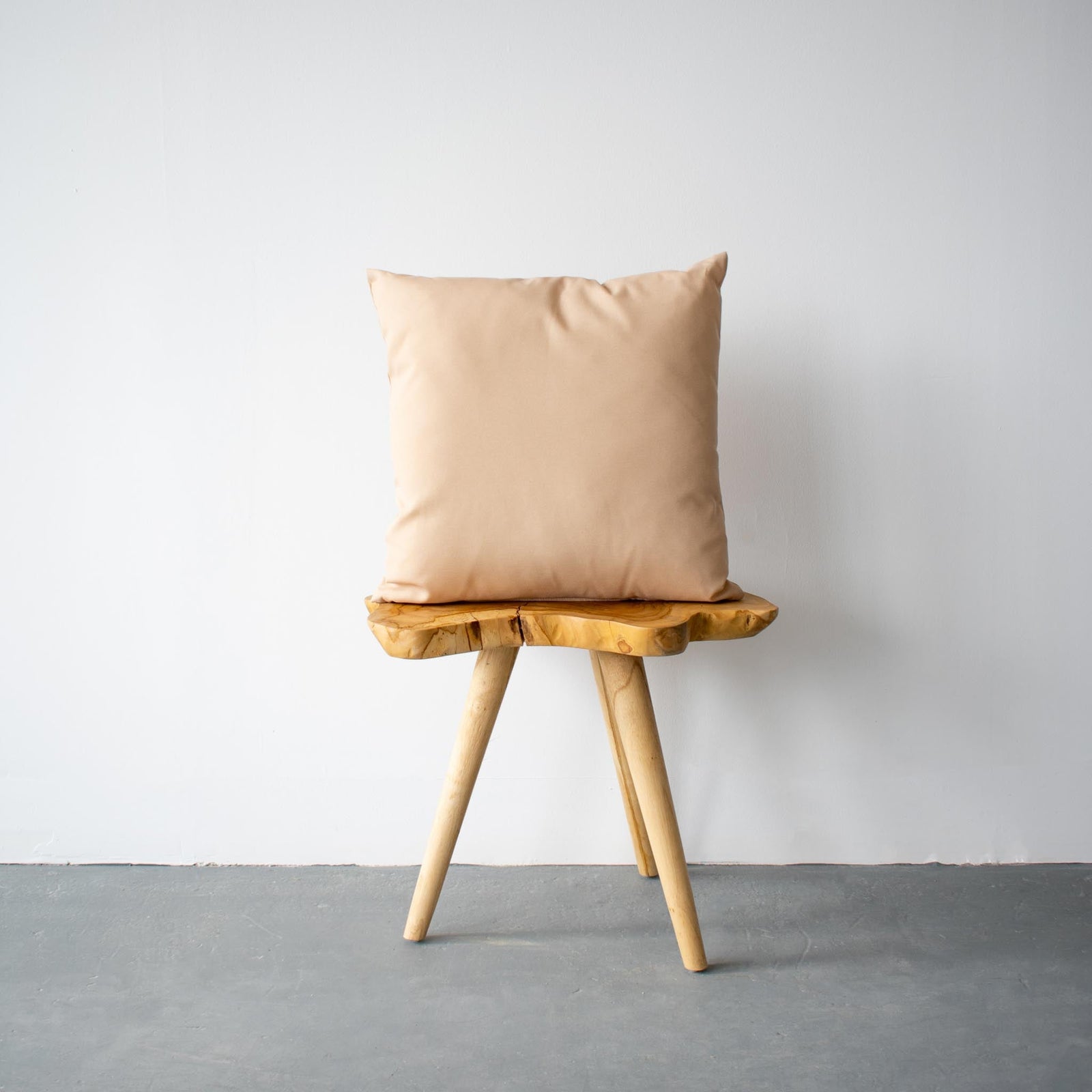 OUTDOOR PILLOW - BEIGE 20"