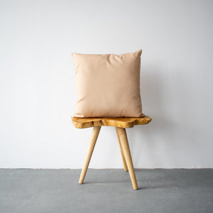 OUTDOOR PILLOW - BEIGE 20"