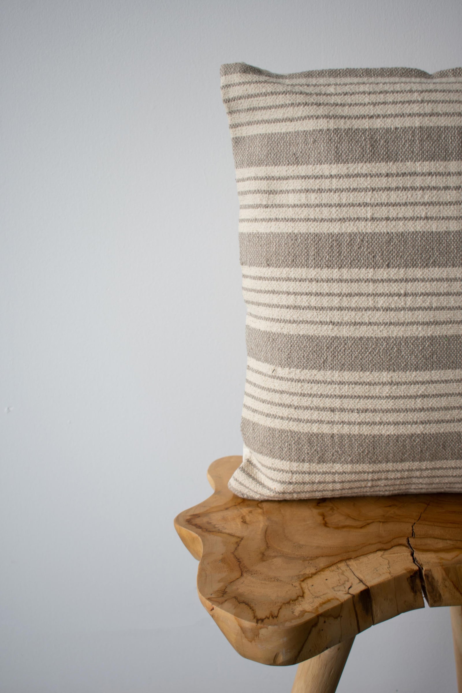 COTTON CANVAS - PORTER