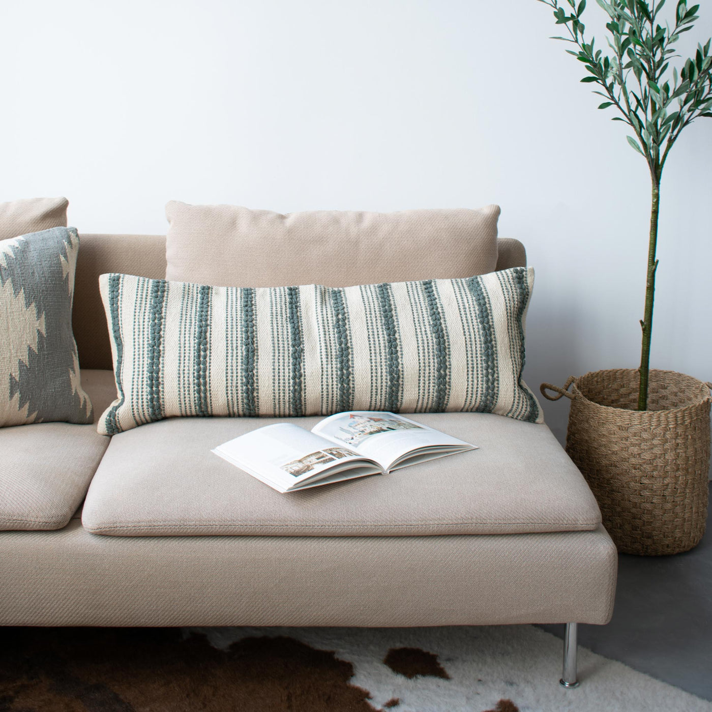 COTTON CANVAS - MALLACHY